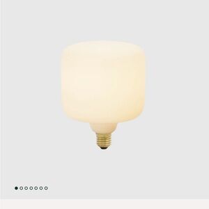 Tala Oblo led E26 lightbulb new nib $90